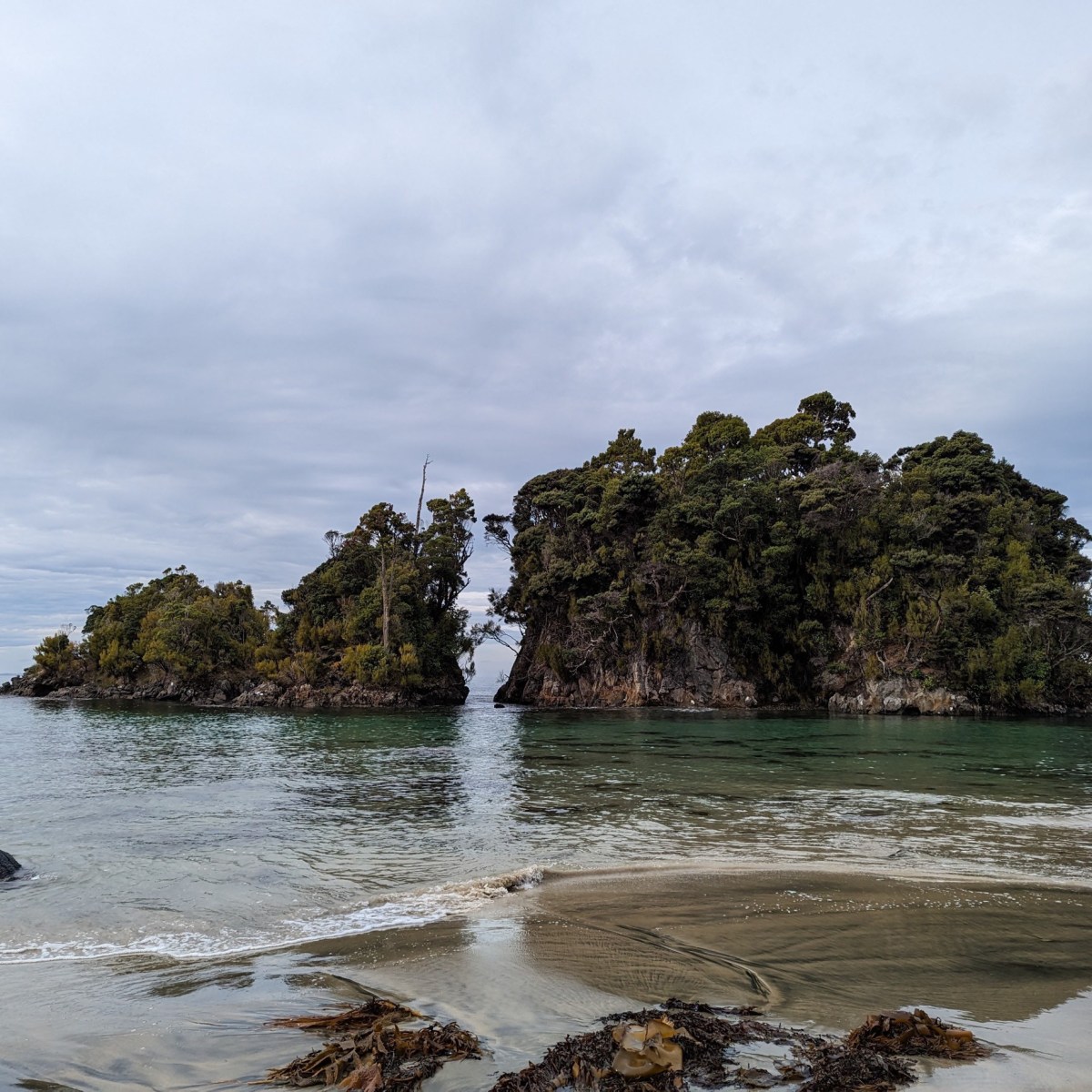 Stewart Island Day 1 – Aventure sur Stewart Island ! | Adventure on Stewart Island&nbsp;!
